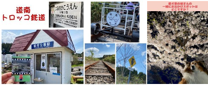 トロッコ列車