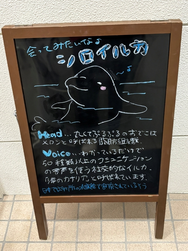 今週のA型看板