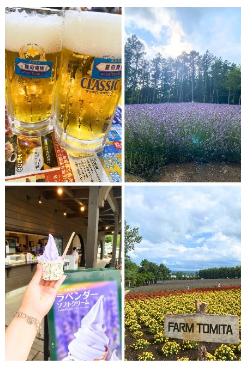 札幌、富良野旅行