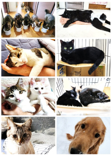 愛しい生き物たち